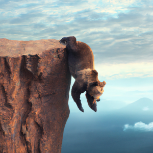 A real bear falling down a cliff