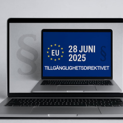 eu tillgänglighetsdirektiv 28 juni 2025
